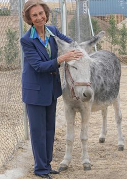 La Reina Sofía con un burro