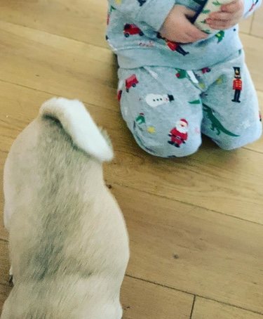 La foto con la que Tania Llasera se ha despedido de su perrita Mila | Instagram