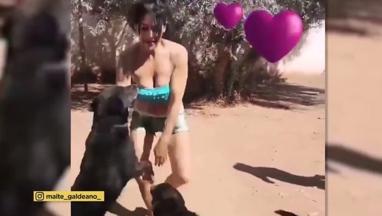 Maite Galdeano atacada por unos perros/'Socialité