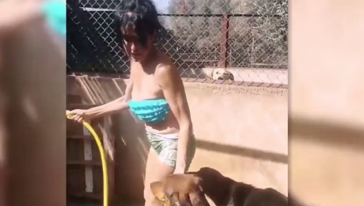 Maite Galdeano bañando a los perros en bikini/'Socialité