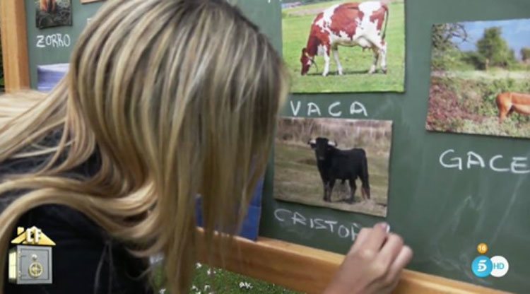 Oriana escribe el nombre de Christofer debajo de un toro en 'La Casa Fuerte'