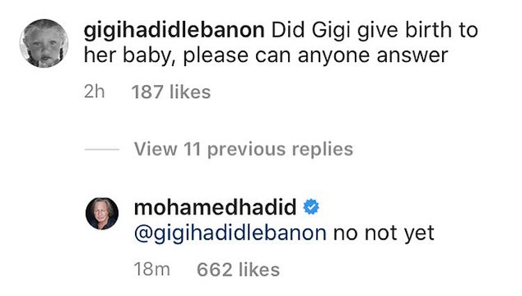 Posteriormente negó que Gigi Hadid hubiese dado a luz | Foto: Instagram