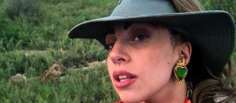 Lady Gaga en el Safari Foto/Twitter