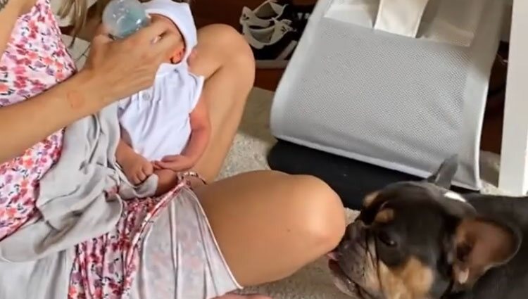 Marina Romero dándole el biberón a su bebé rodeada de los perros | Foto: Instagram