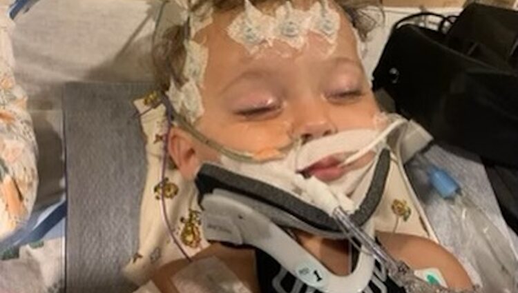 River William, el sobrino de 11 meses de Sharon Stone que está ingresado en el hosptital con una fallo multiorgánico | Foto: Instagram