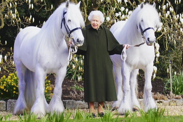 La Reina Isabel con sus ponis Bybeck Nightingale y Bybeck Katie