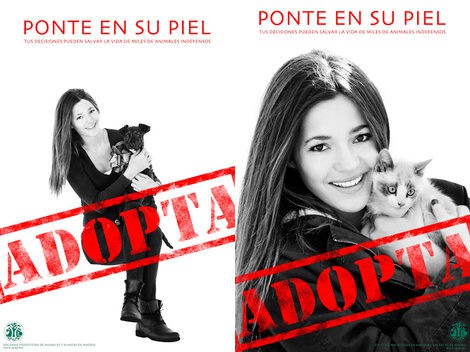 Malena Costa muestra su lado más solidario con los animales bajo el lema 'Ponte en su piel'