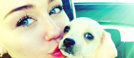 Miley Cyrus y su perro Foto/Twitter