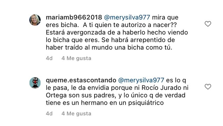 Algunos de los comentarios que recibe Gloria Camila por Instagram | foto: Instagram