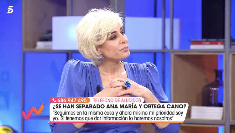 Ana María Aldón en 'Viva la vida' | Foto: Telecinco