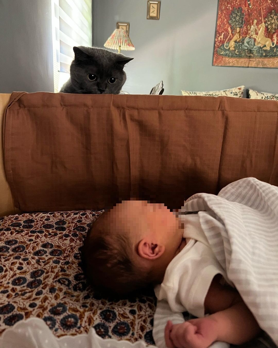 El bebe con el gato | Foto: Instagram