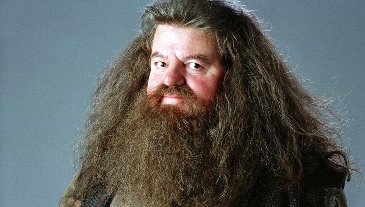 Fotograma de Hagrid, de 'Harry Potter'