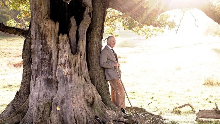 El Rey Carlos III bajo un árbol para anunciar que se ha convertido en Guardabosques de Windsor Great Park
