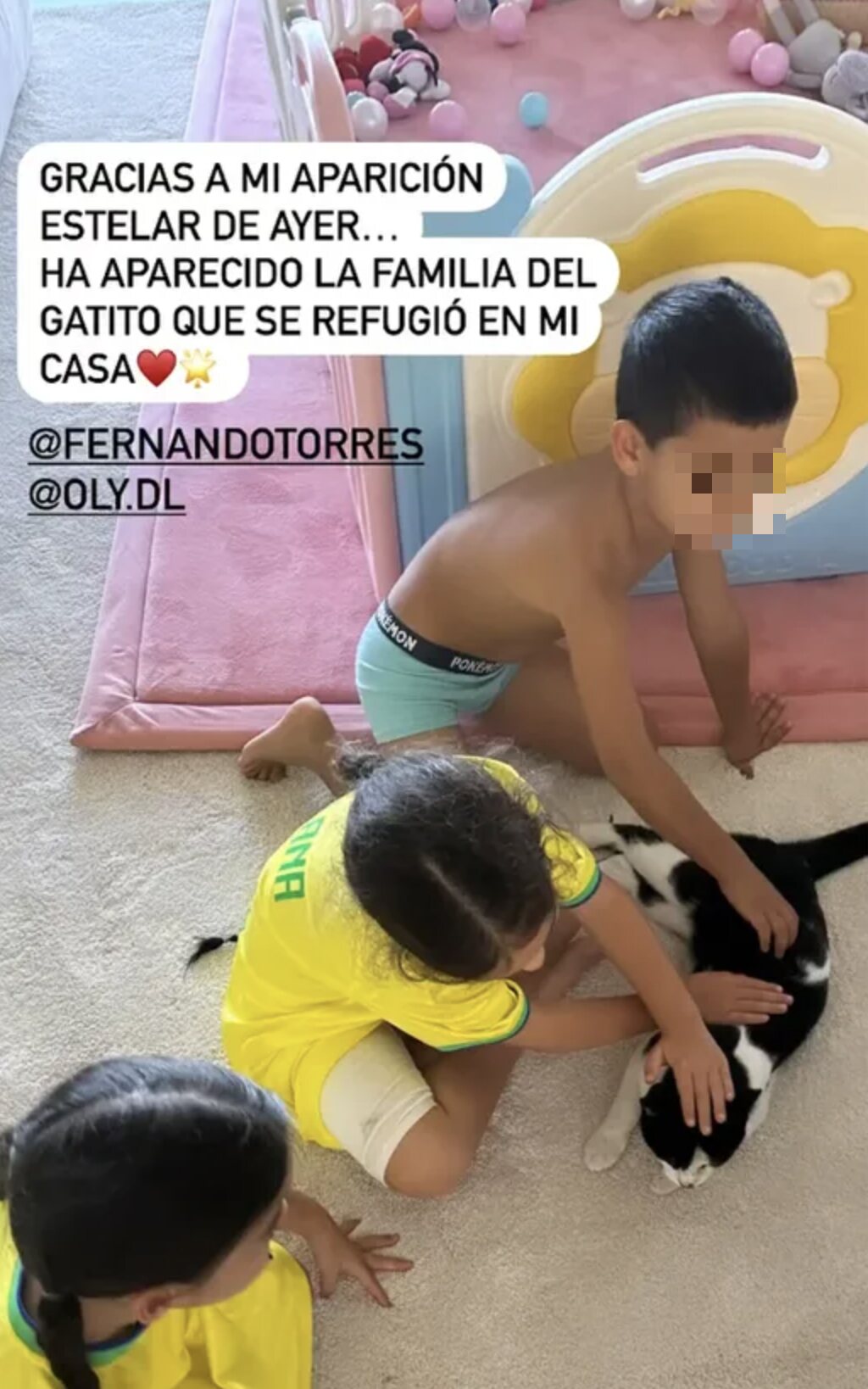 Los hijos de Georgina Rodríguez con el gato de Fernando Torres/ Foto: Instagram