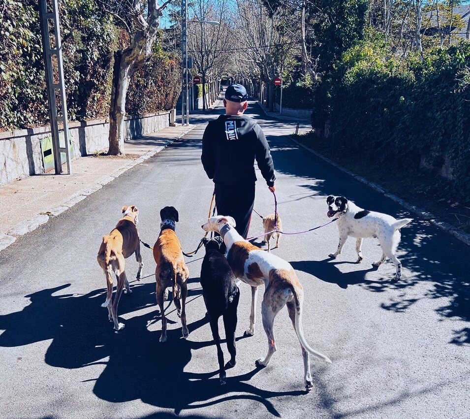 Jorge Javier con sus perros | Instagram