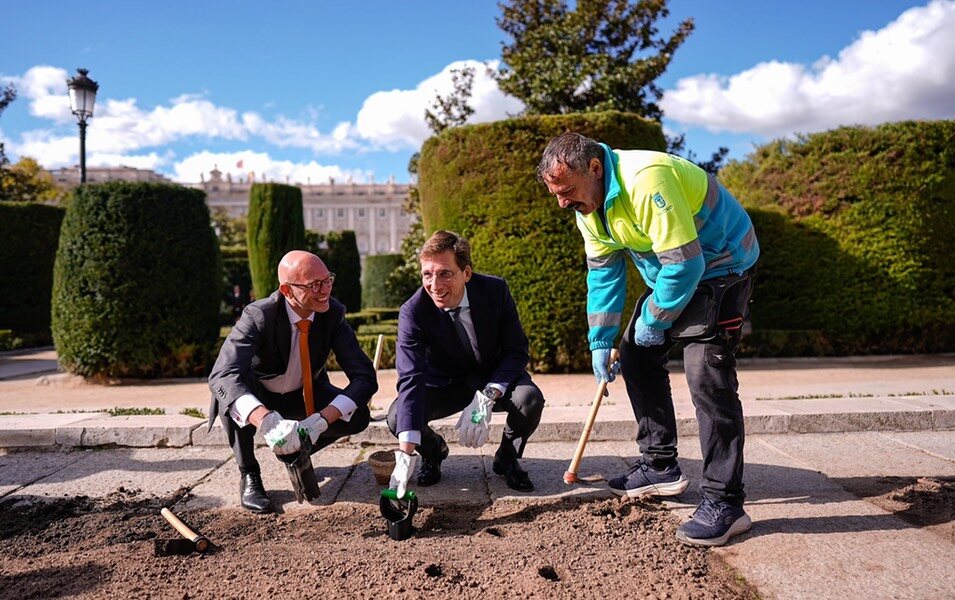 El alcalde de Madrid y el embajador de Holanda plantando tulipanes en la plaza de Oriente