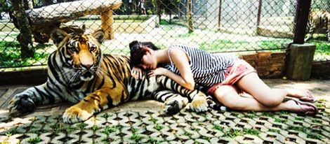 Blanca Suárez con un tigre