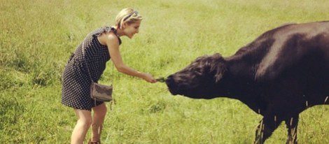 Elsa Pataky dando de comer a una vaca / Foto: Instagram
