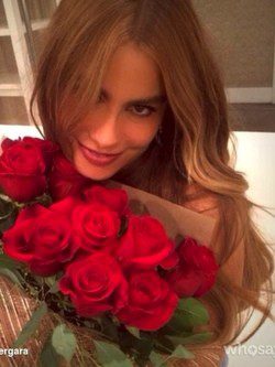 Sofía Vergara con un ramo de rosas / Instagram