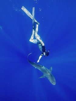 Zac Efron nadando con tiburones / Instagram