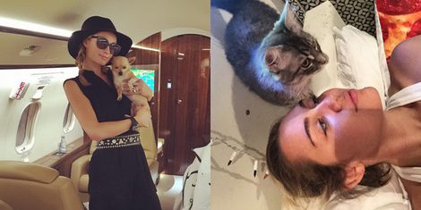 Paris Hilton y Miley Cyrus con sus mascotas / Instagram