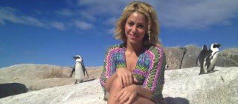 Shakira sufre el ataque de un león marino: 