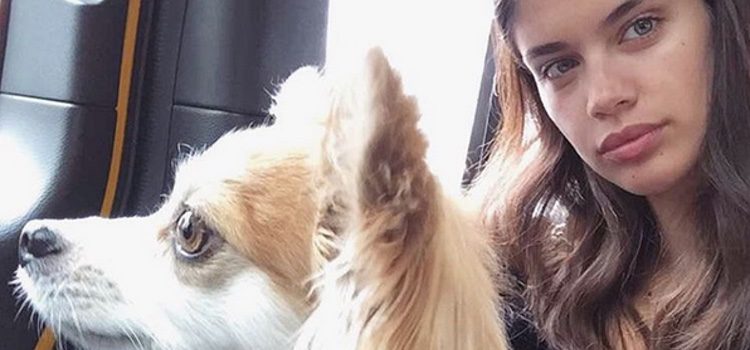 Sara Sampaio con su perrito Luigi / Instagram