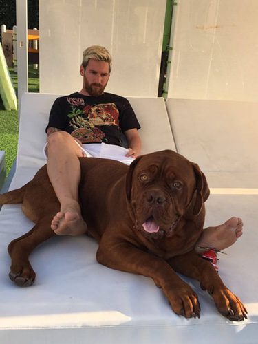 Leo Messi con su perro Hulk / Instagram