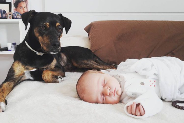 El pequeño Ian junto al perro de la familia / Foto: Instagram.com