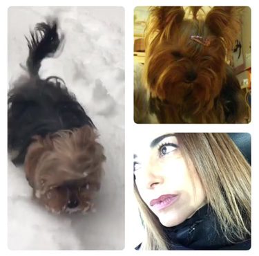 Mariló Montero despidiendo a su perrita / Instagram