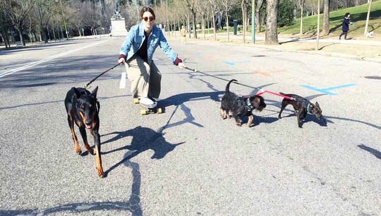 Blanca Suárez paseando a sus mascotas y las de Joel Bosqued / Fuente: Instagram