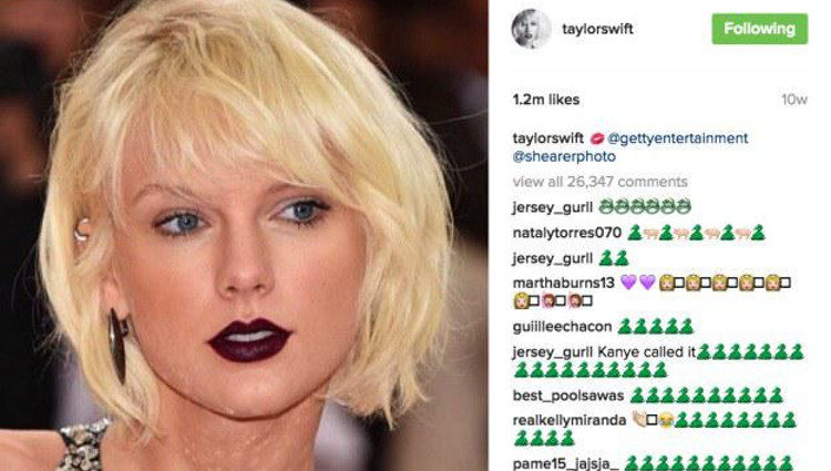 Instagram de Taylor Swift asaltado por serpientes | Fuente: Instagram