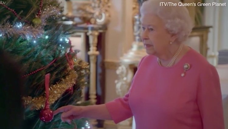 La Reina Isabel junto al árbol de Navidad en Windsor | Foto: ITV