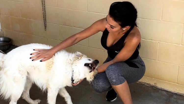 Georgina Rodríguez con uno de los perros de la asociación de animales/ Fuente: Instagram