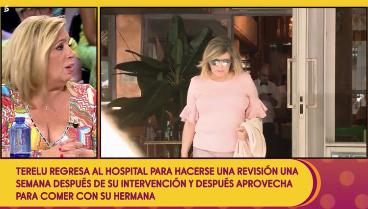 Carmen Borrego dio la última hora de su hermana en 'Sálvame' / Telecinco.es