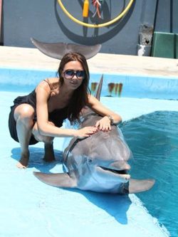 Victoria Beckham con un delfín | Foto: Twitter