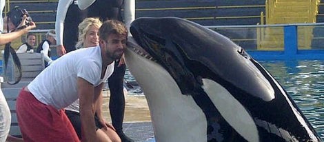 Gerard Piqué cambia el beso de Shakira por el de una orca bajo la atenta mirada de la cantante