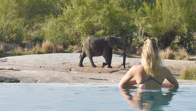 Karlie Kloss dándose un baño viendo elefantes | Foto: @karliekloss