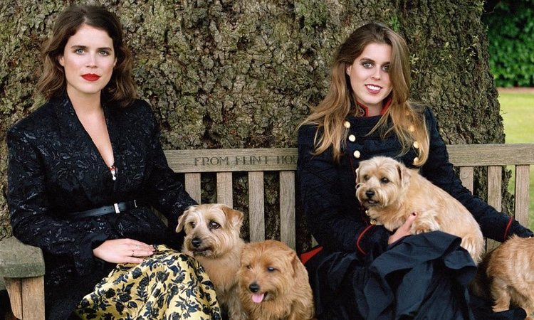 Las Princesas Eugenia y Beatriz de York posando con sus perros | Foto: Instagram