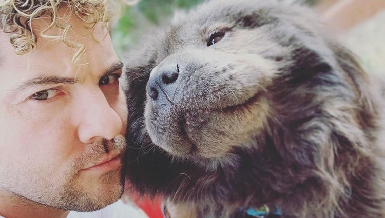 Nala, el perrito de David Bisbal | Instagram