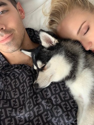Joe Jonas y Sophie Turner con su perro Waldo | Instagram