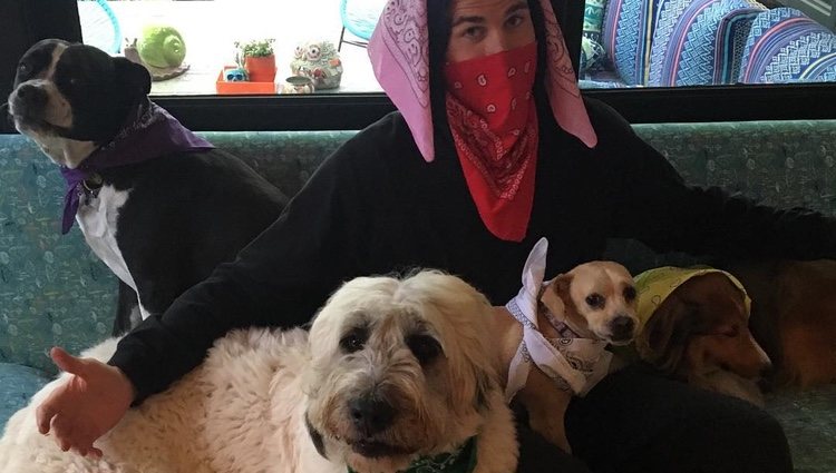 Liam Hemsworth junto a 4 de sus mascotas Foto: Instagram @liamhemsworth