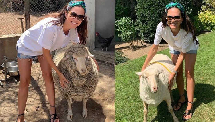 Romina Belluscio con su oveja/ Foto: Instagram