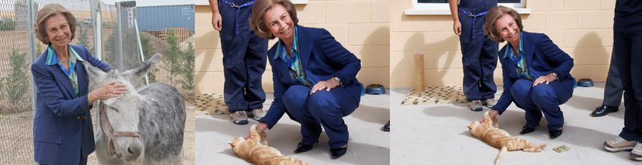 La Reina Sofía muestra su amor por los animales en la visita a un Centro de Adopción de Animales Abandonados