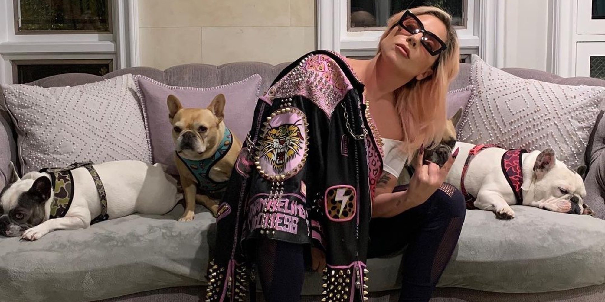Aparecen sanos y salvos los perros robados de Lady Gaga