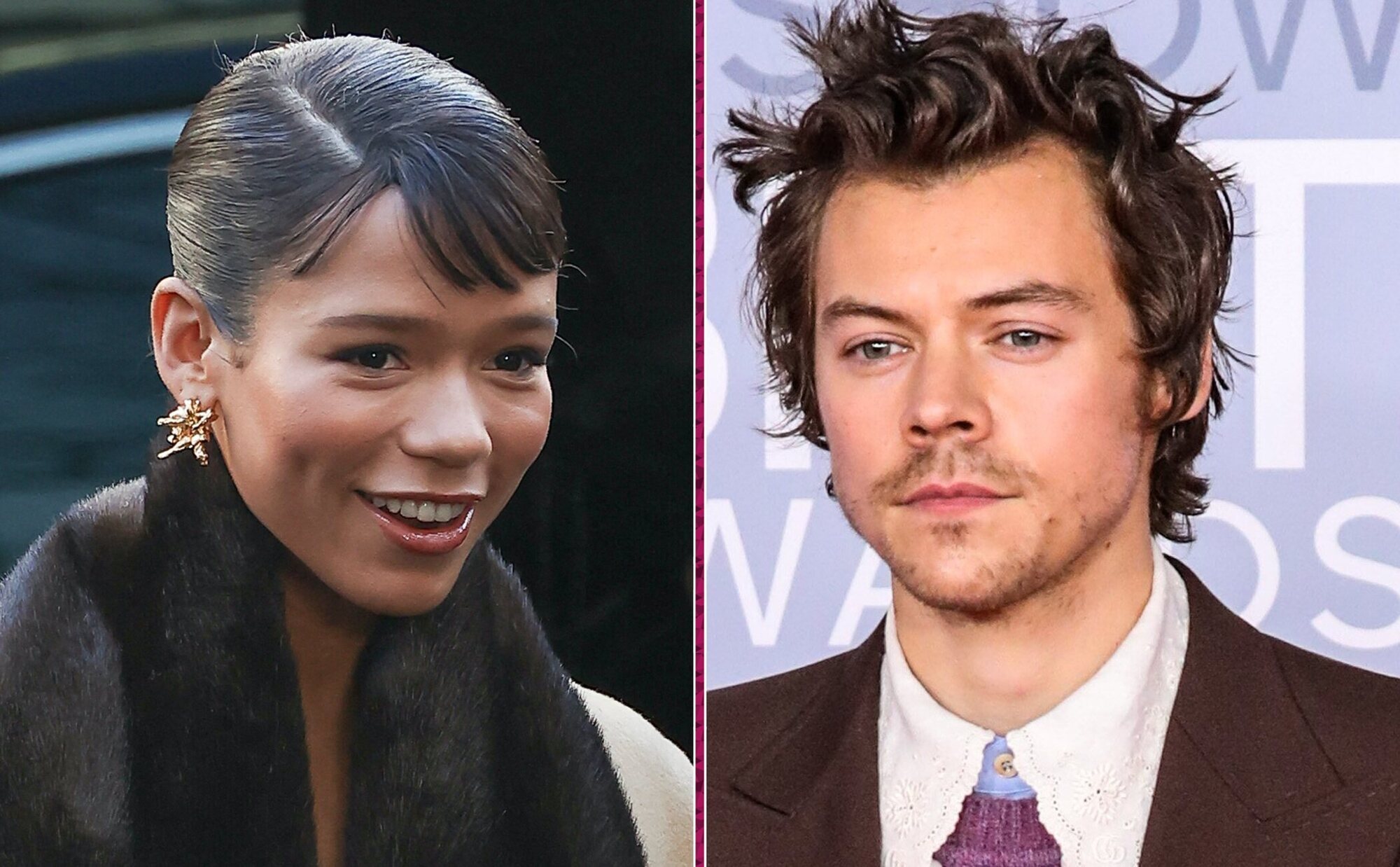 Harry Styles y Taylor Russell han roto