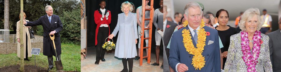 Carlos de Inglaterra y Camilla Parker-Bowles cumplen con sus agendas por separado tras los rumores de crisis