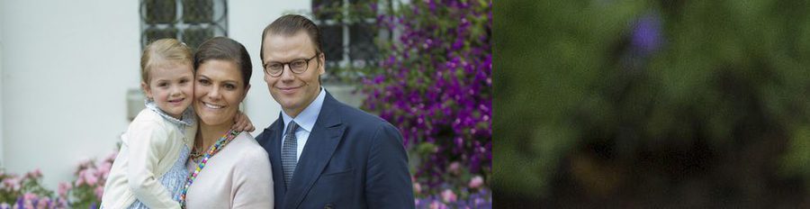 Los Príncipes Victoria y Daniel de Suecia están esperando su segundo hijo