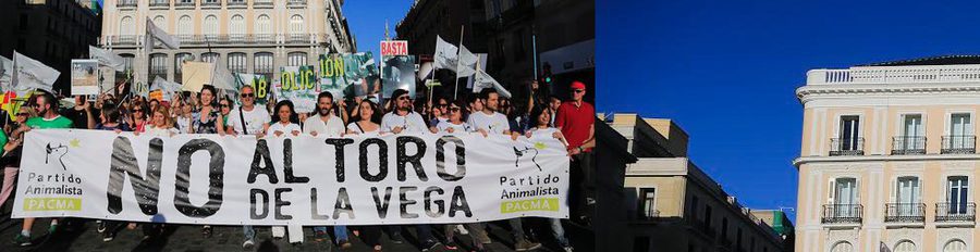 #RompesuelasVivo: Malena Costa, Dani Rovira, Lluvia Rojo,... luchan por suprimir el Toro de la Vega
