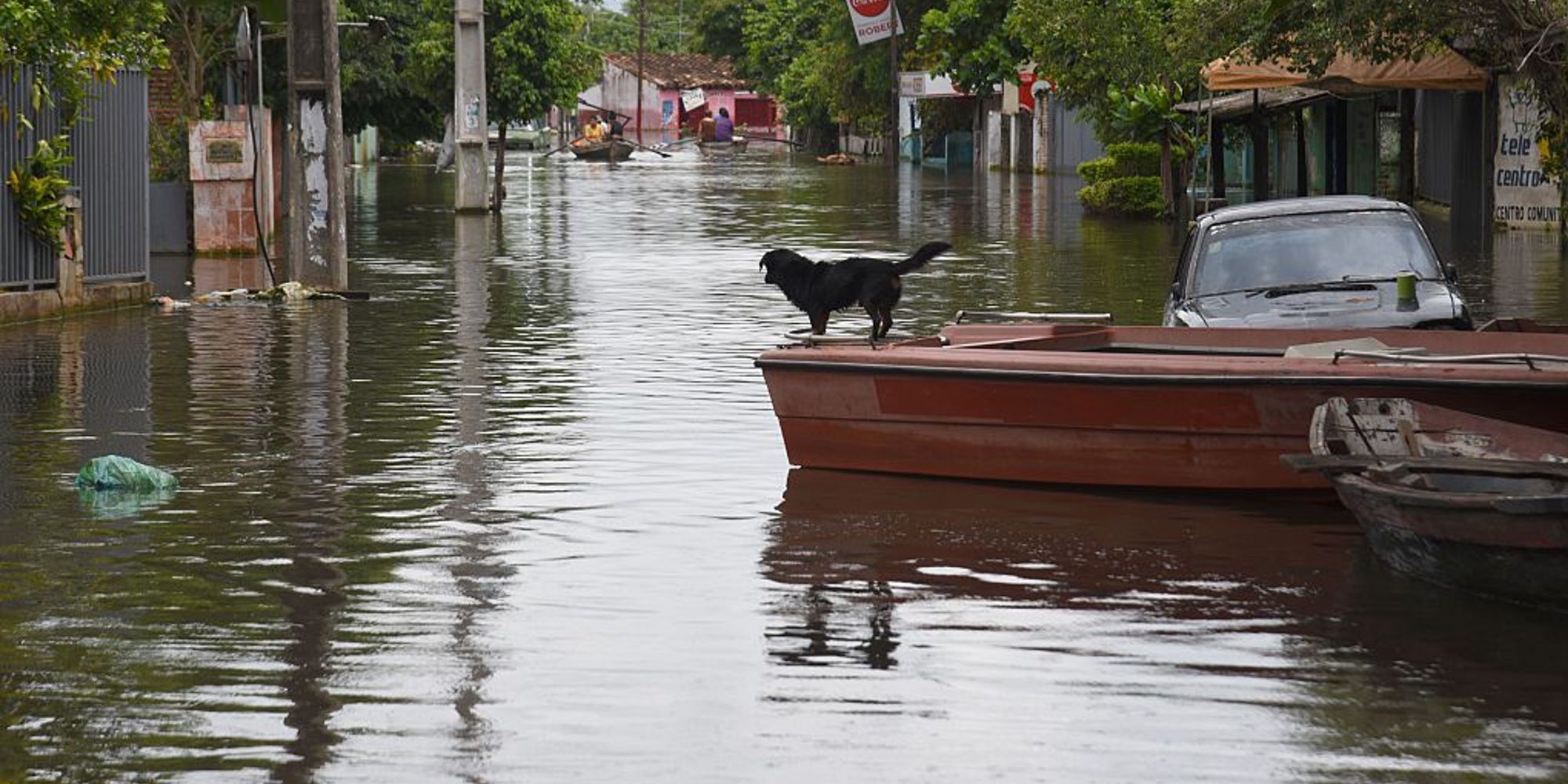 Héroe: Un hombre salva de morir ahogados a una mujer y su perro en las inundaciones de Luisiana